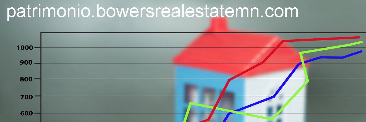 patrimonio.bowersrealestatemn.com